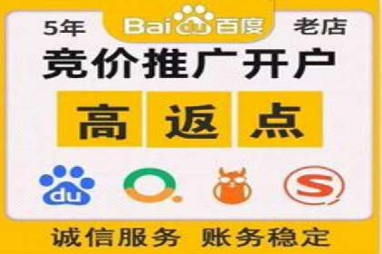百度竞价包年服务：打造企业核心竞争力